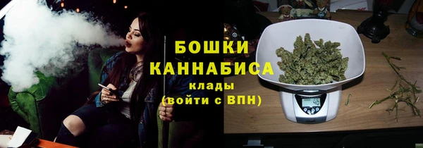 мдпв Осташков