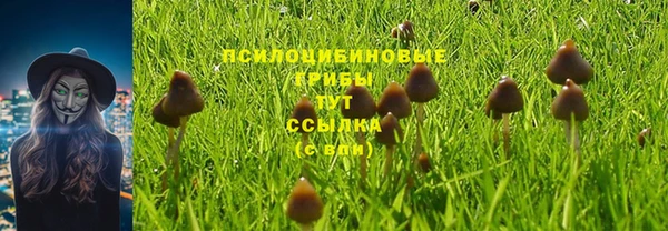 мескалин Осинники