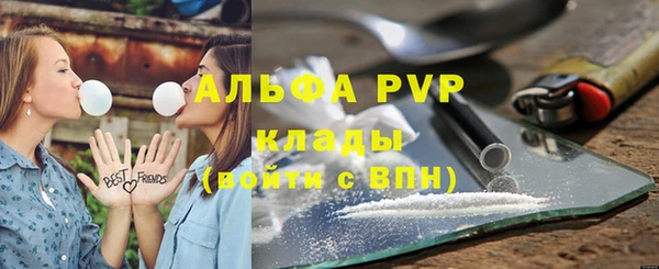 мдпв Осташков