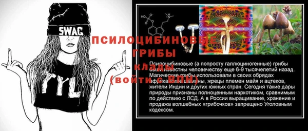 mdma Дмитровск